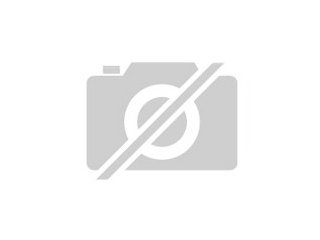 Steinschlagreparaturen an PKW Frontscheiben
